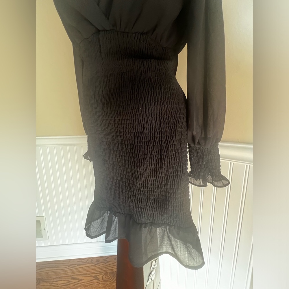 Hyfve Women’s Black Sheer Sleeve Fitted Smocked Dress  great condition S - Picture 3 of 10